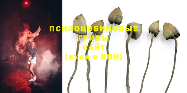 экстази Алексеевка