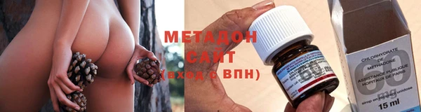 стаф Алзамай