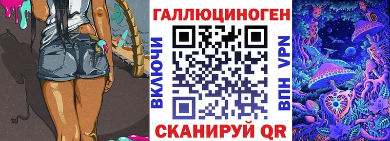 Галлюциногенные грибы Psilocybe  Куртамыш 